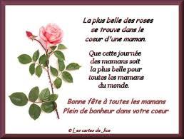 images (11)